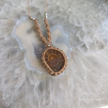 Load image into Gallery viewer, Ammonite Necklace