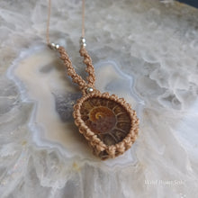 Load image into Gallery viewer, Ammonite Necklace