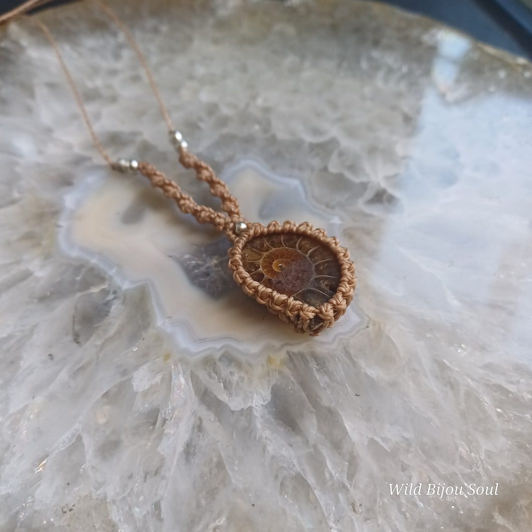 Ammonite Necklace