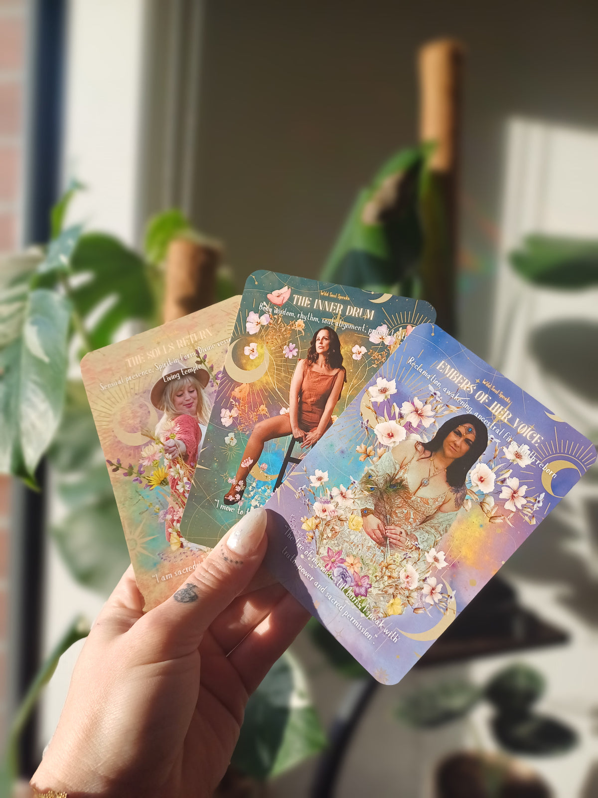 The Wild Speaks Oracle Cards