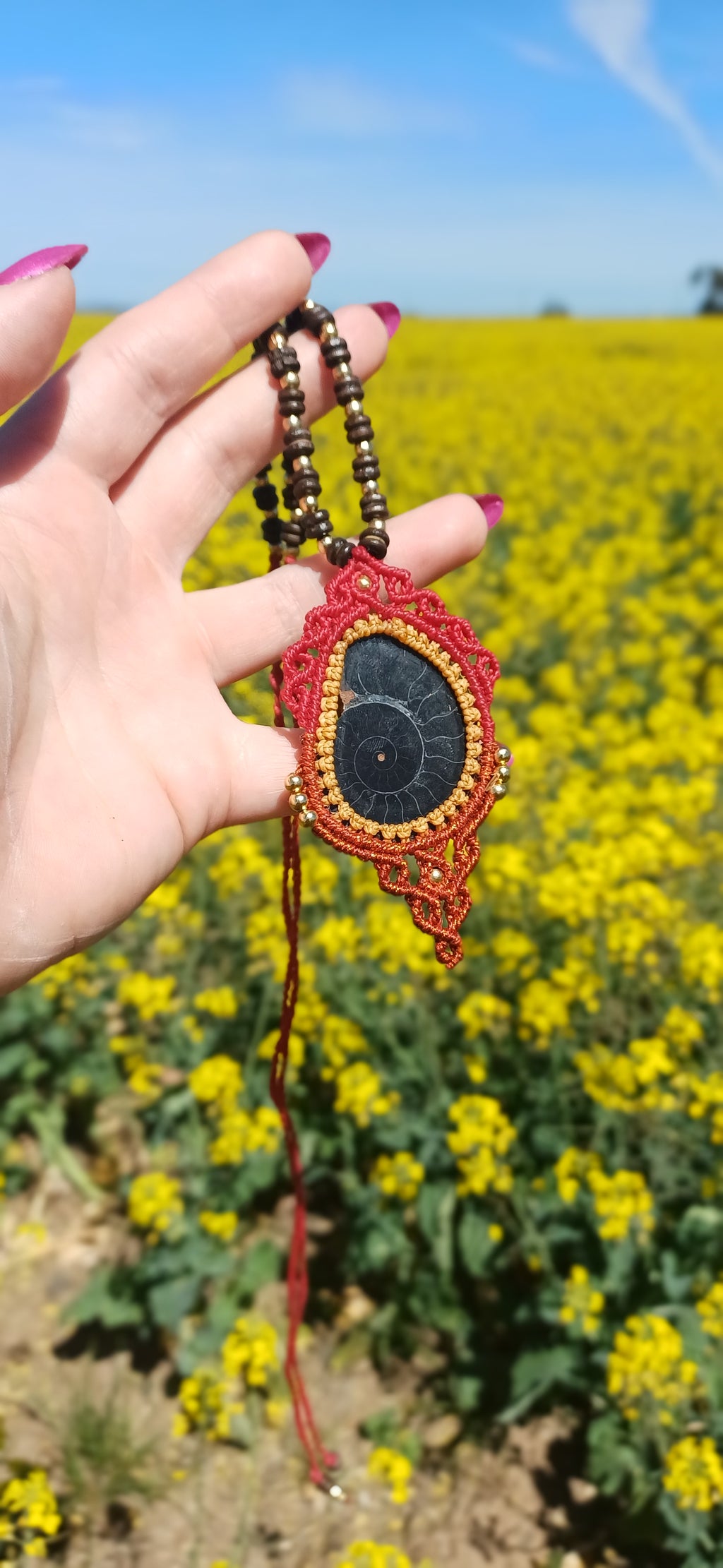 Eternal Spiral ~ Ammonite