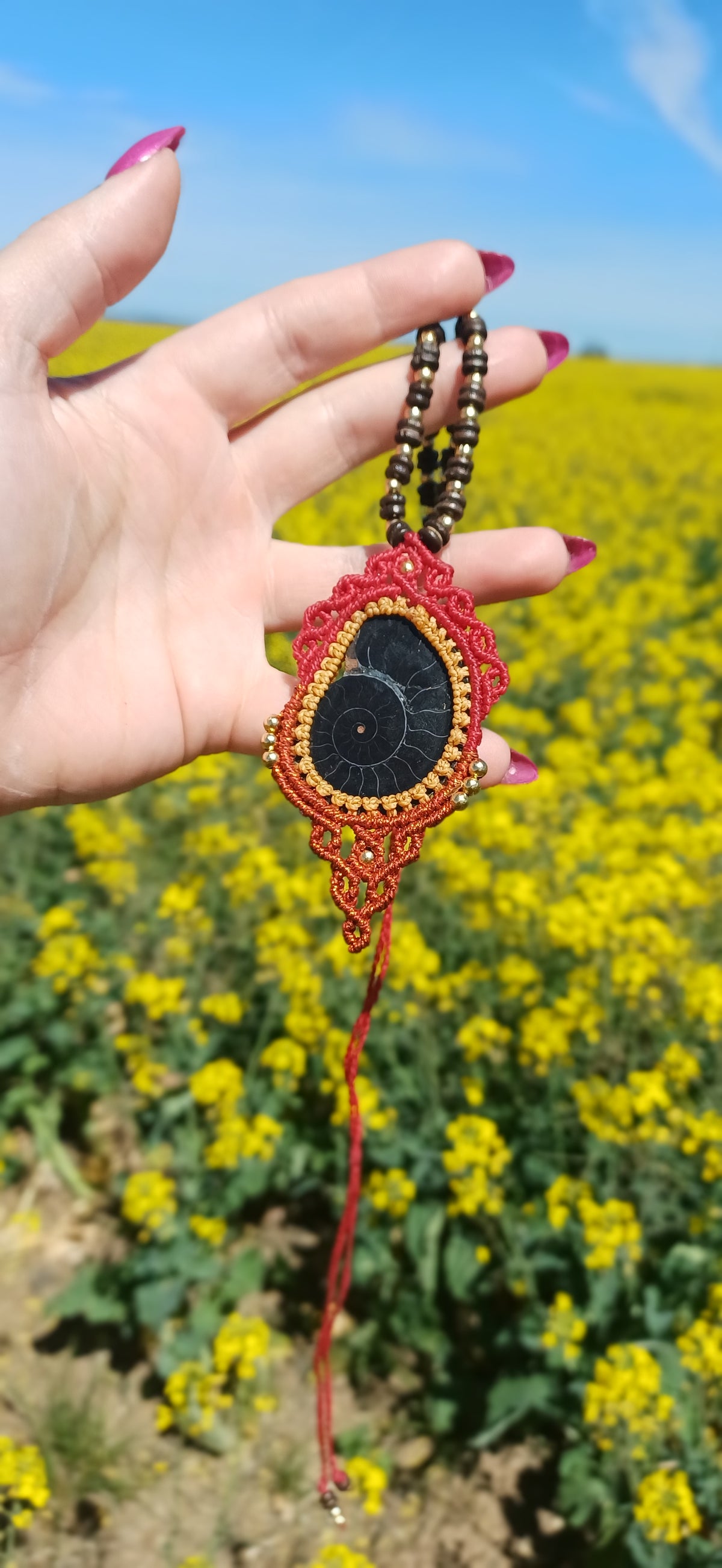 Eternal Spiral ~ Ammonite