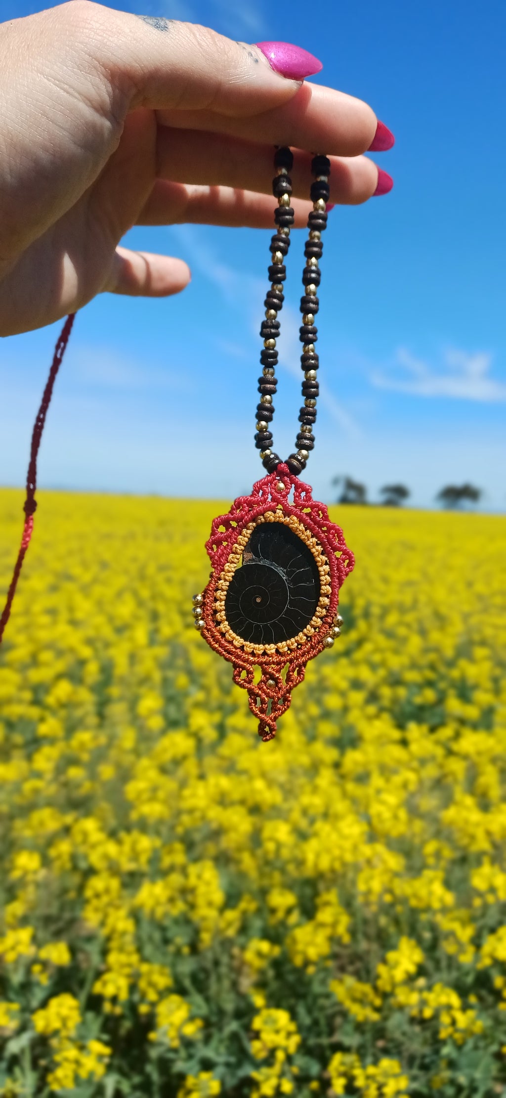 Eternal Spiral ~ Ammonite