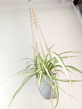 Load image into Gallery viewer, DIY Plant Hanger Kit
